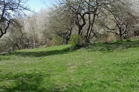 Парк «Заріччя» — фото 13