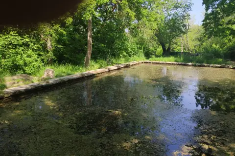 Регіональний ландшафтний парк «Максимова дача» — фото 2