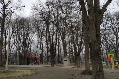 Парк імені Юрія Федьковича — фото 12