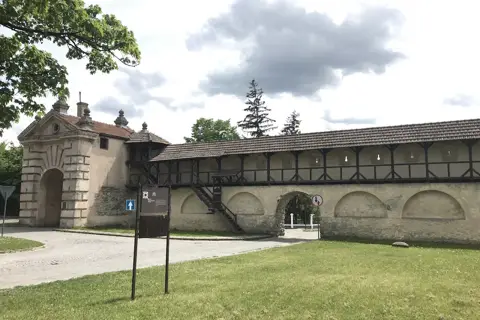 Замковий парк (парк XVII ст. у місті Жовква) — фото 9