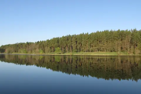 Кияницький парк — фото 3