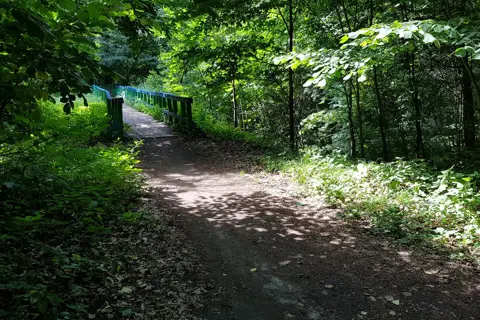 Кияницький парк — фото 7