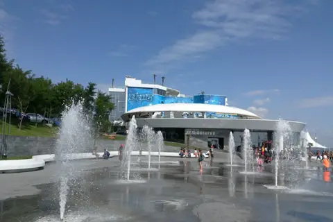 Одеський дельфінарій «Немо» — фото 6