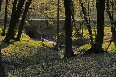 Регіональні ландшафтні парки «Голосіївський» та «Голосіїв» (втрачені) — фото 8