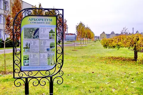 Сумський дендропарк — фото 4