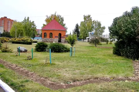 Сумський дендропарк — фото 6