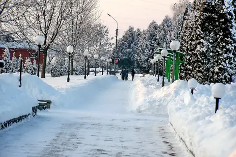 Сумський дендропарк — фото 7