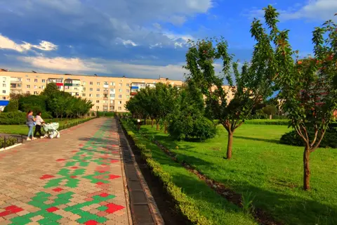 Сумський дендропарк — фото 9