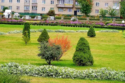Сумський дендропарк — фото 11