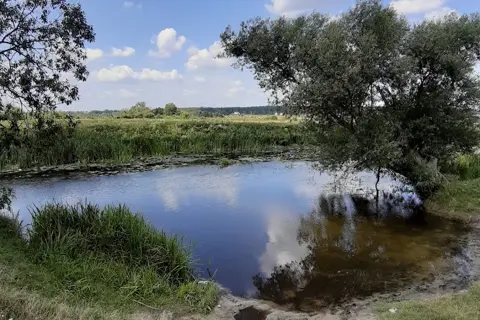 Жорнівський парк — фото 3