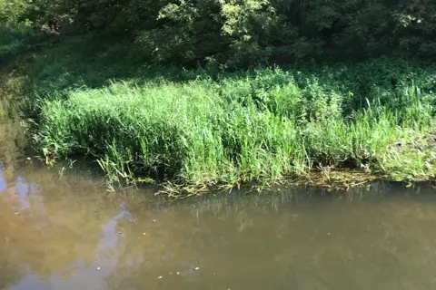 Жорнівський парк — фото 8