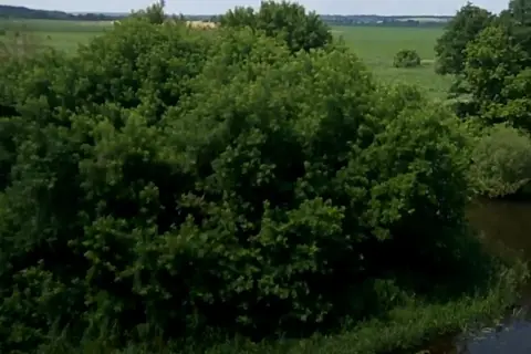 Жорнівський парк — фото 14