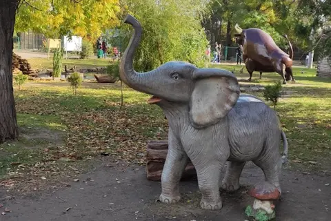 Одеський зоопарк — фото 11