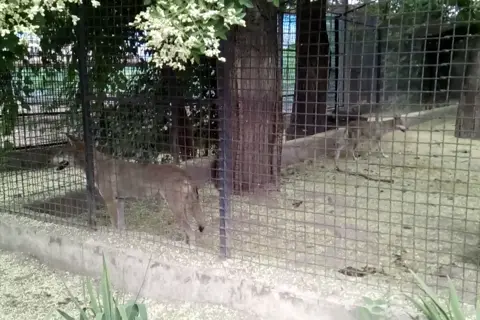 Одеський зоопарк — фото 14