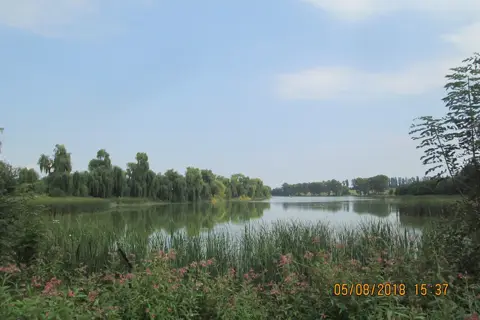 Неслухівський парк — фото 8