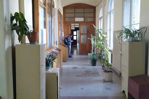 Палісадник хімкорпусу держуніверситету — фото 8