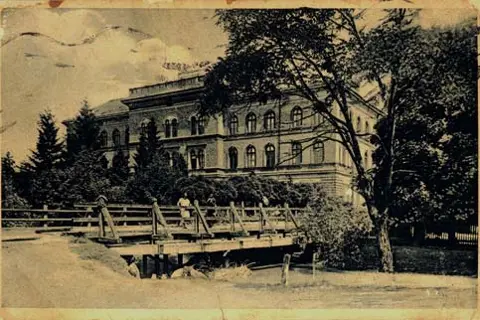 Палісадник хімкорпусу держуніверситету — фото 12