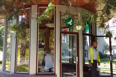 Сквер міськлікарні (дендросад Лаудона) — фото 2