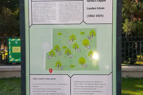 Сквер міськлікарні (дендросад Лаудона) — фото 3
