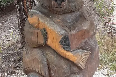 Сквер міськлікарні (дендросад Лаудона) — фото 10