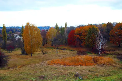 Молодіжник парк — фото 2