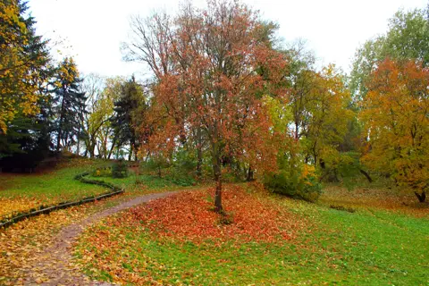 Молодіжник парк — фото 3