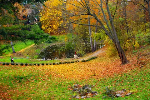 Молодіжник парк — фото 10