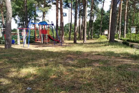 Сарненський дендропарк — фото 2