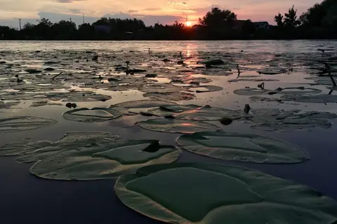Нижньодніпровський національний природний парк — фото 9