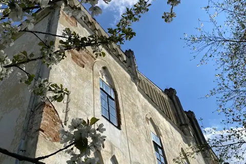 Новоселицький парк — фото 9