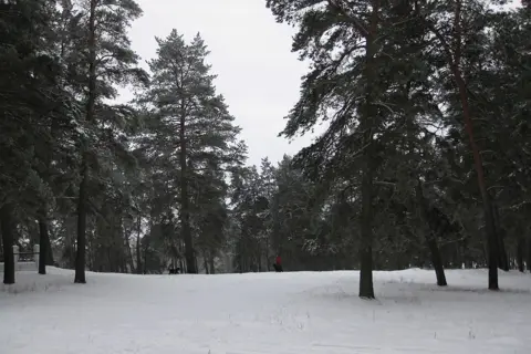 Басівський парк — фото 5