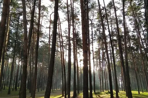 Басівський парк — фото 7