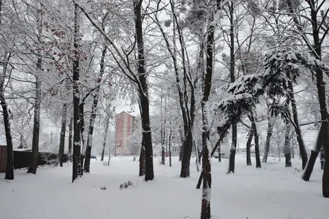 Дендропарк «Радивилівський» — фото 2