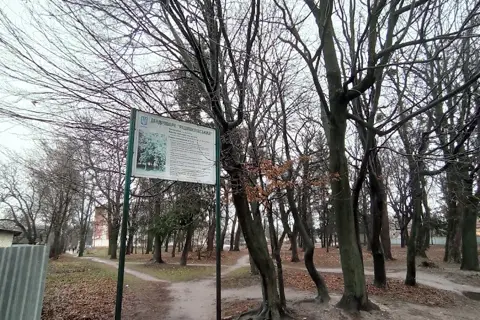 Дендропарк «Радивилівський» — фото 3