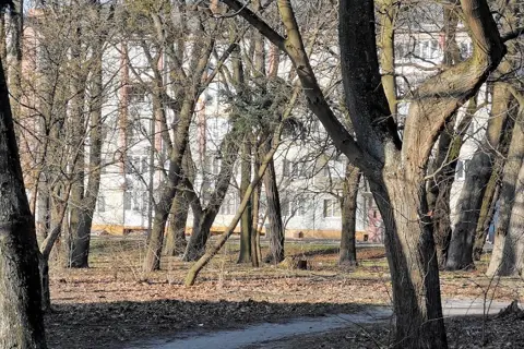 Дендропарк «Радивилівський» — фото 6