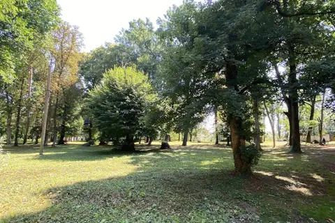 Підзамковий парк — фото 4