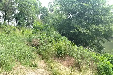 Підзамковий парк — фото 8
