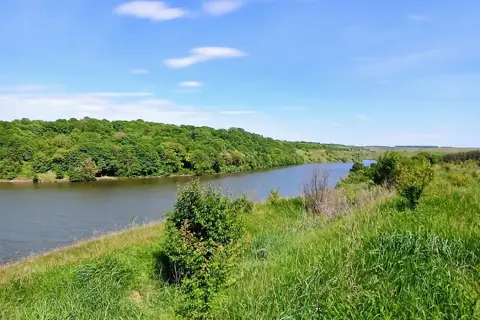 Шарівський парк — фото 3
