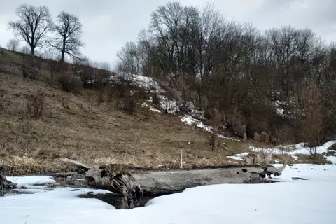 Шарівський парк — фото 6