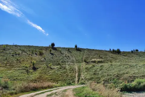 Шарівський парк — фото 12