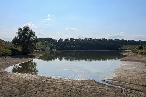Шарівський парк — фото 13