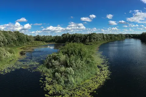Камінський парк — фото 2