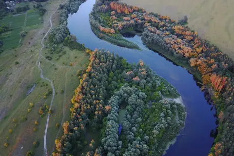 Камінський парк — фото 3