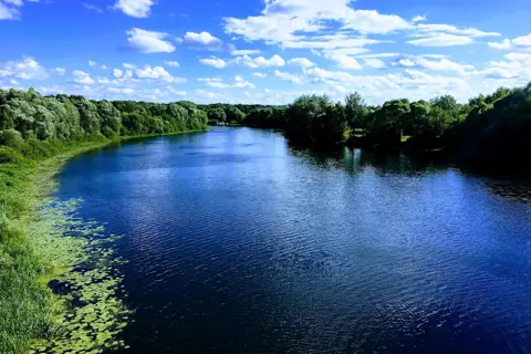 Камінський парк — фото 7