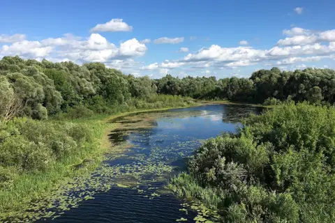 Камінський парк — фото 13