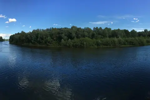 Камінський парк — фото 14