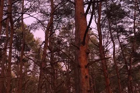 Подих Дніпра — фото 9