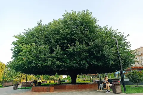 Парк «Юність» — фото 10