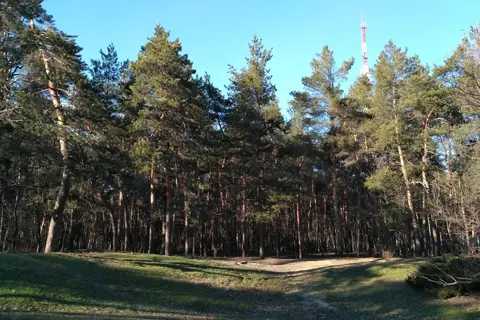 Дніпровський парк — фото 1