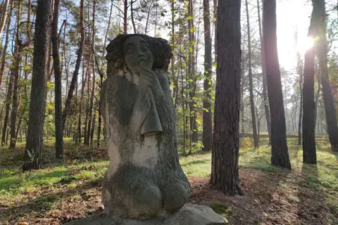 Дніпровський парк — фото 12